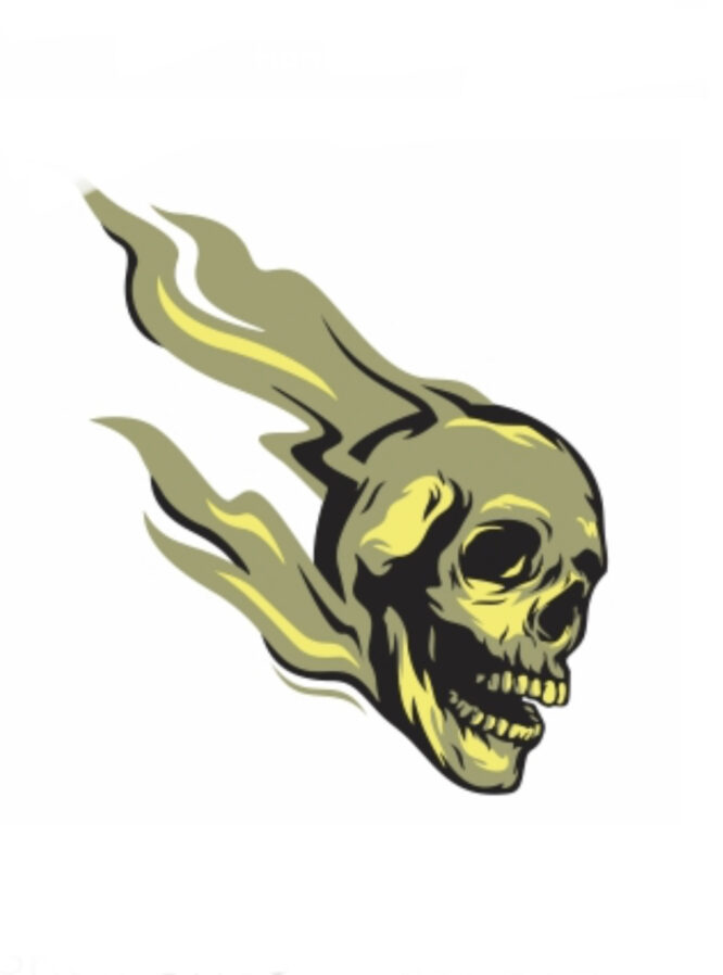 Skull Ghost Rider skull iron on heat transfer