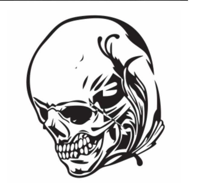 Skull face skull iron on heat transfer