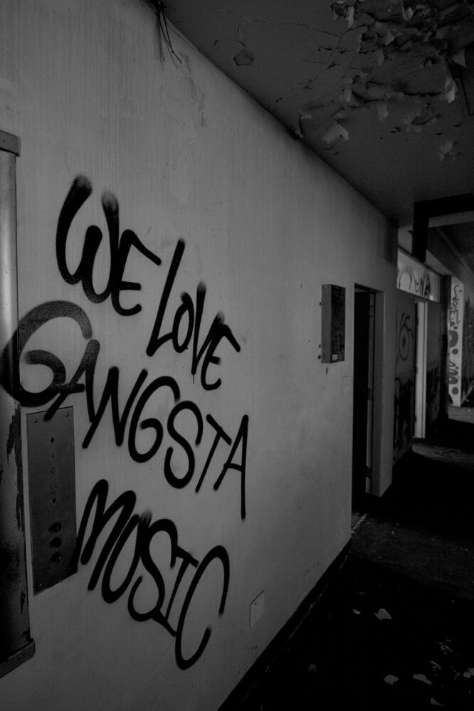 We love gangsta music 1 Hip Hop DTF Transfers