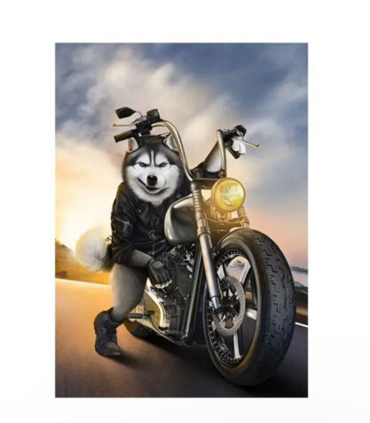 Dog gray motorcycle iron on Heat transfers